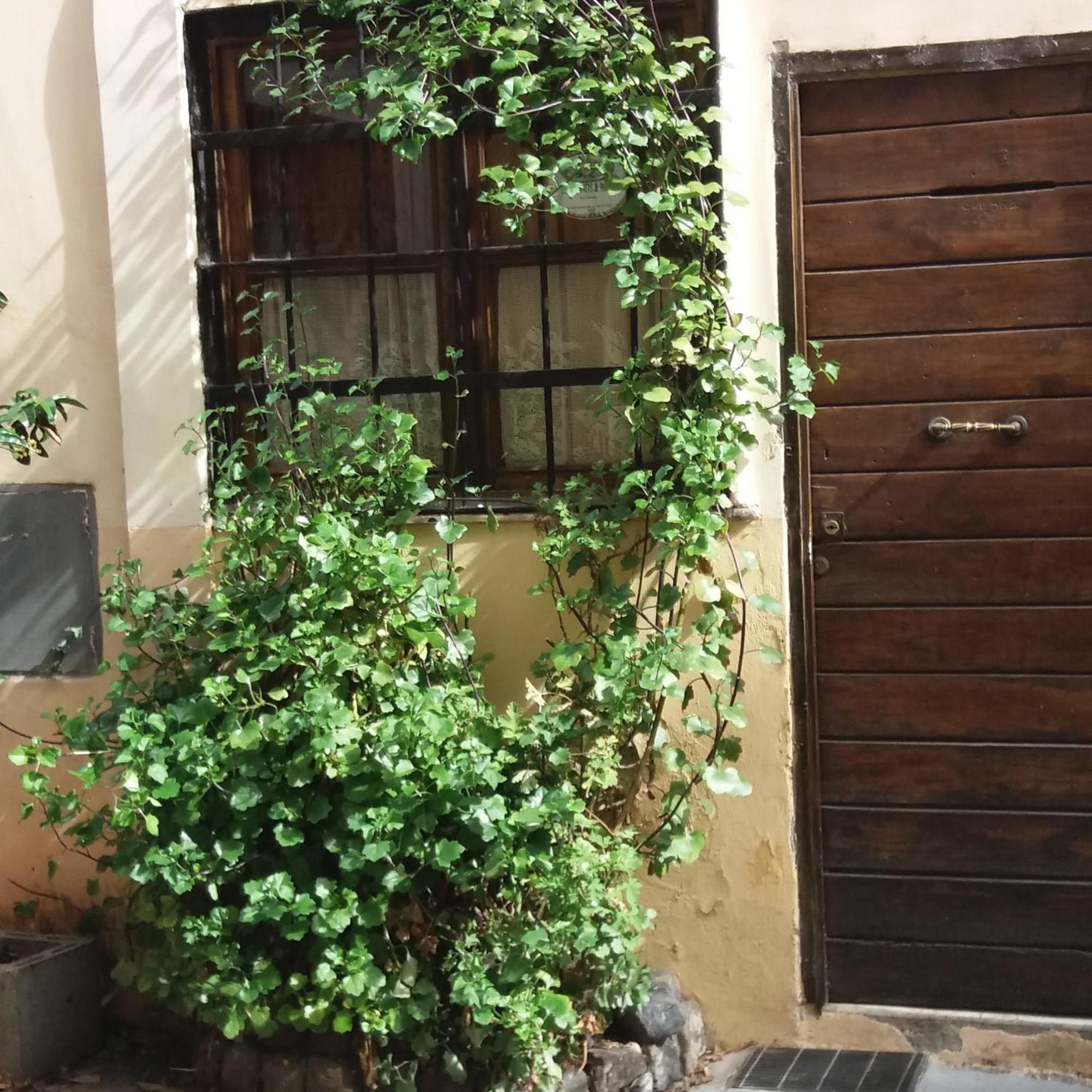 Frühstückspension Ventisei Scalini A Trastevere Rom