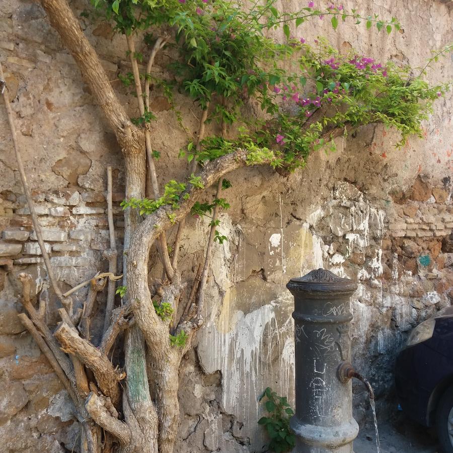 Ventisei Scalini A Trastevere Frühstückspension